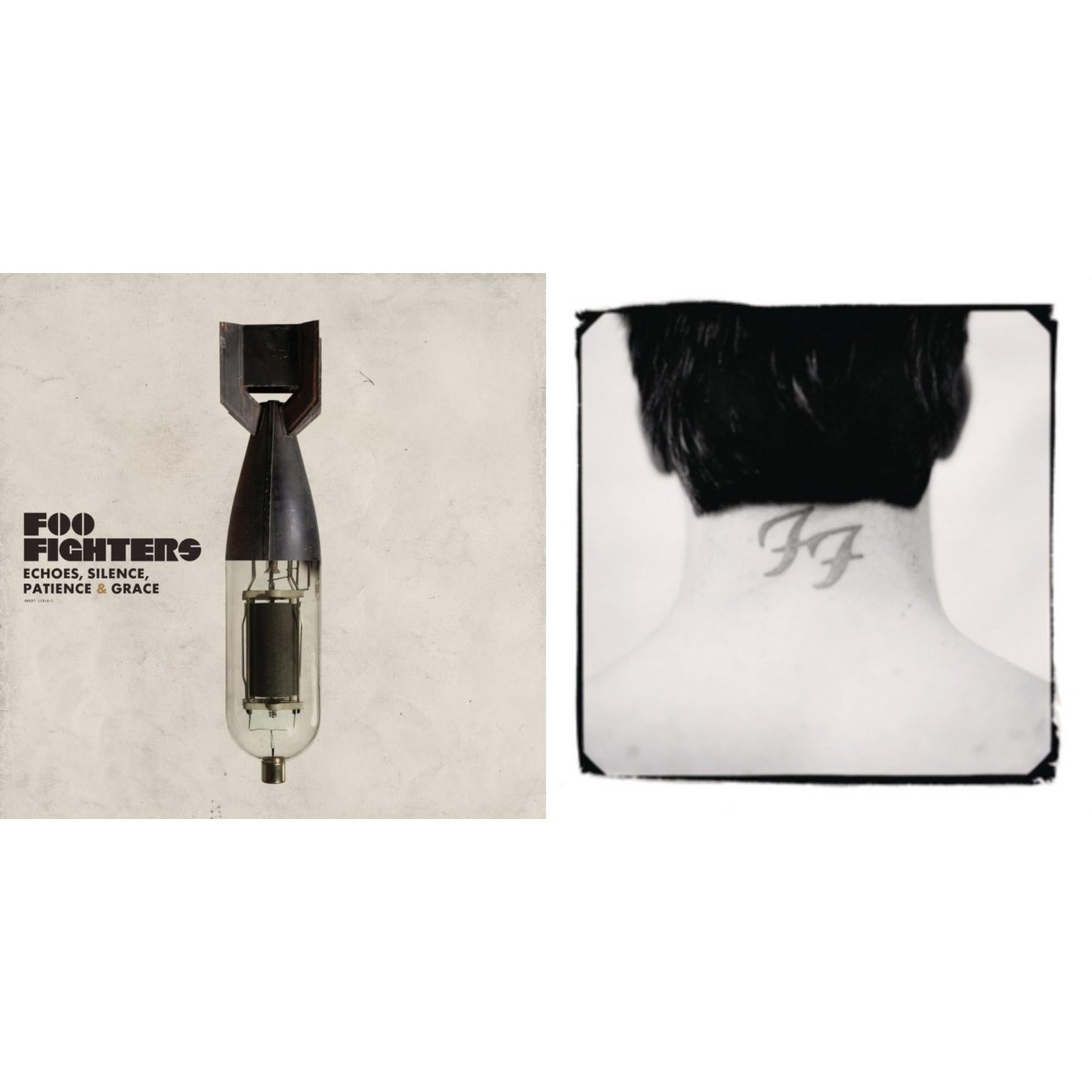 Echoes Silence Patience & Grace & There Is Nothing Left To Lose (2LP/Dl Card)