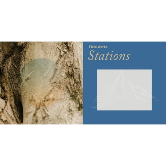 Field Works - Maples Ash & Oaks: Cedars Instrumentals (Iridescent Mother Of Pearl W/ Green Undertone) & Stations - LP Vinyl Bundle