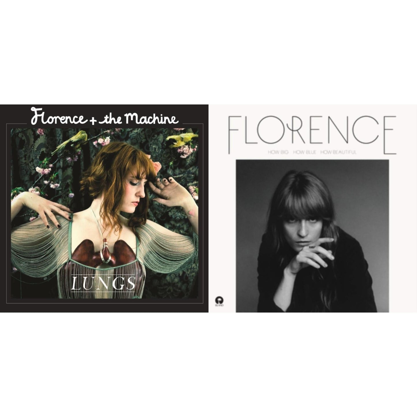 Lungs & How Big How Blue How Beautiful