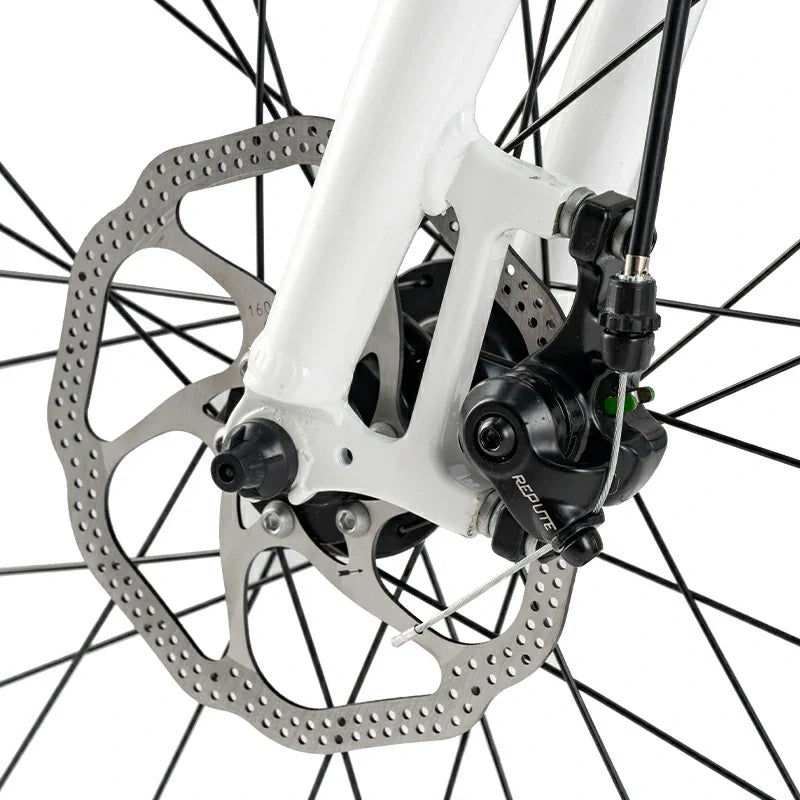 Teen 22-Inch Road Bike