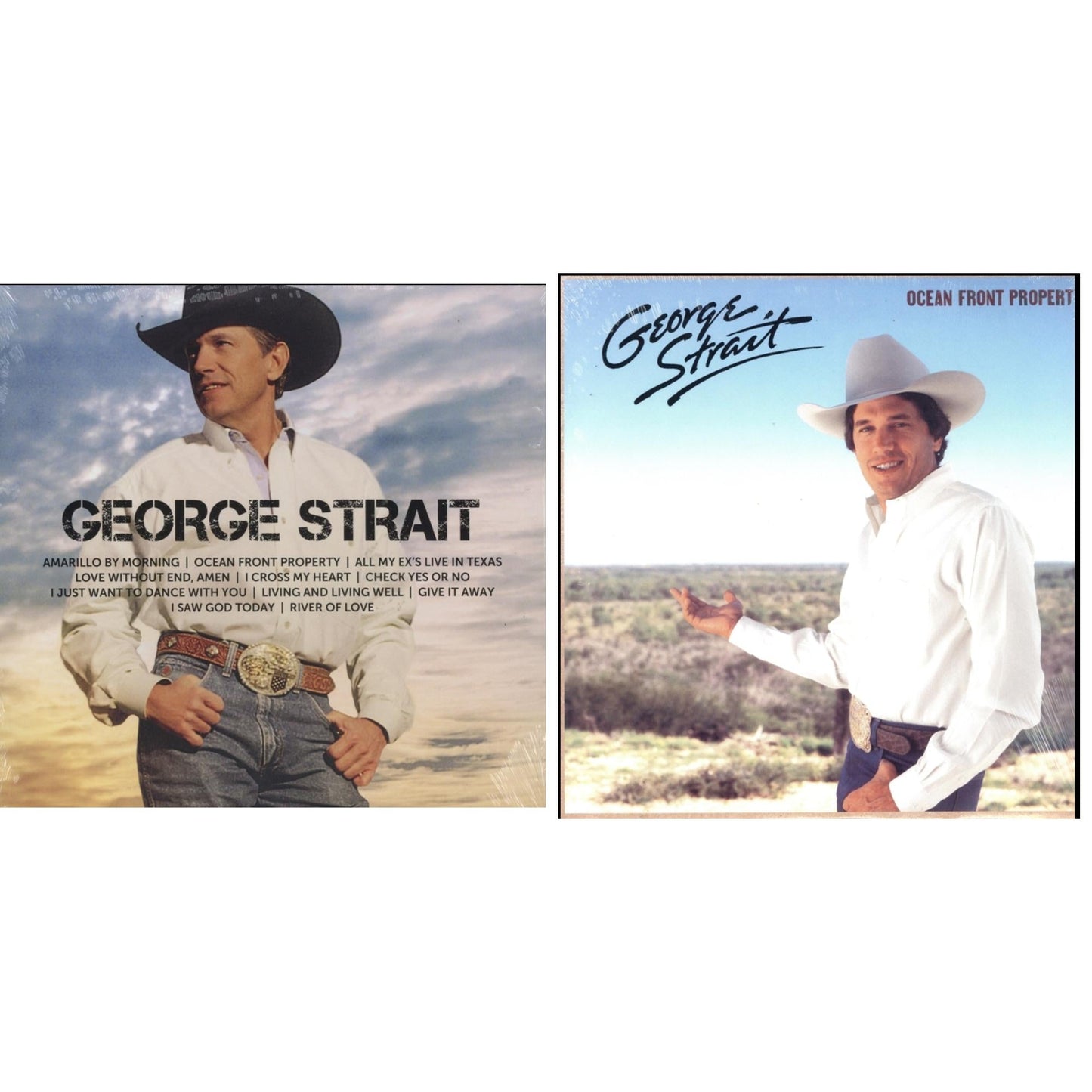 Ocean Front Property (LP) & Icon