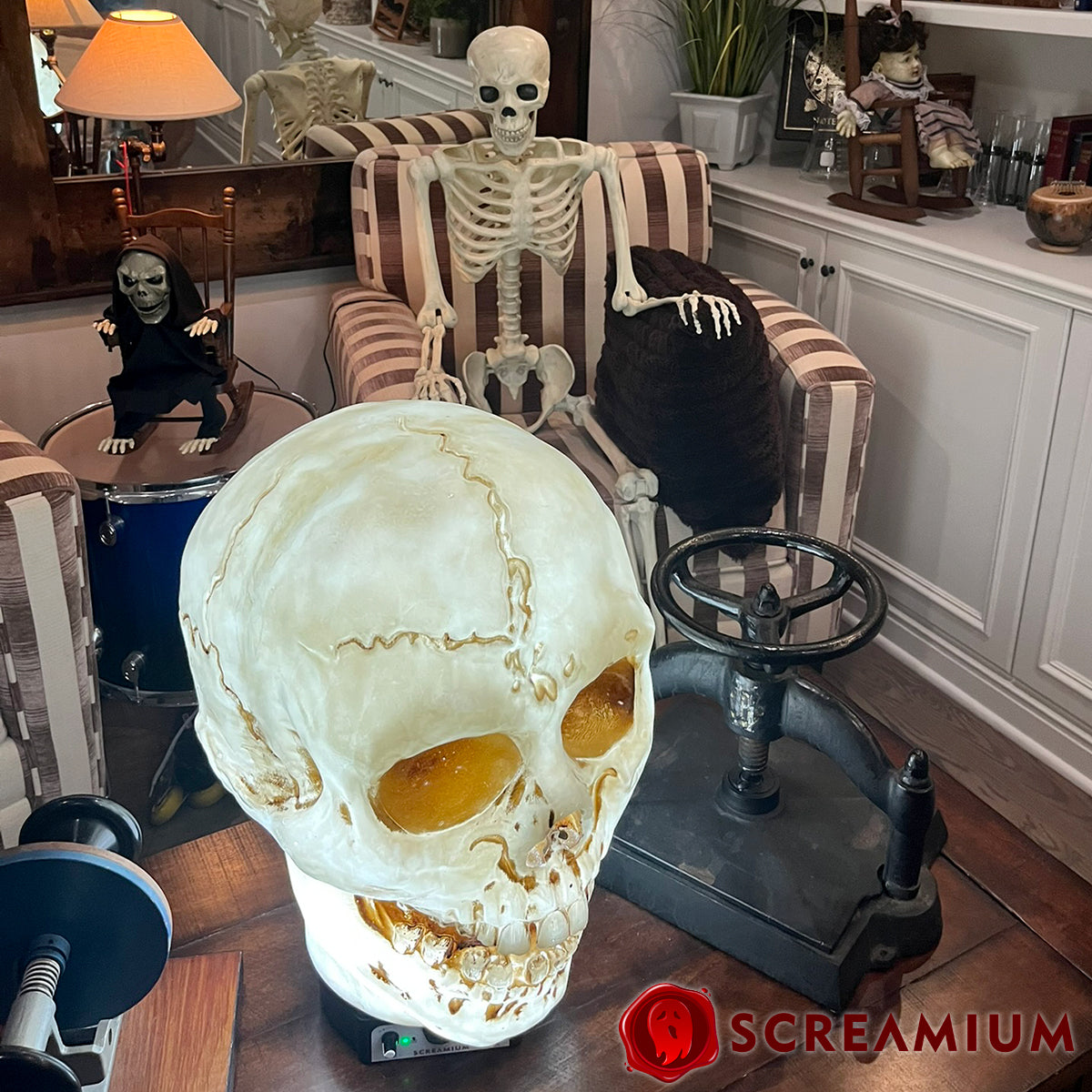 Giant Skull Animatronic Lamp Prop 20-Inch-Tall Heavy Duty Polyresin Halloween Decoration