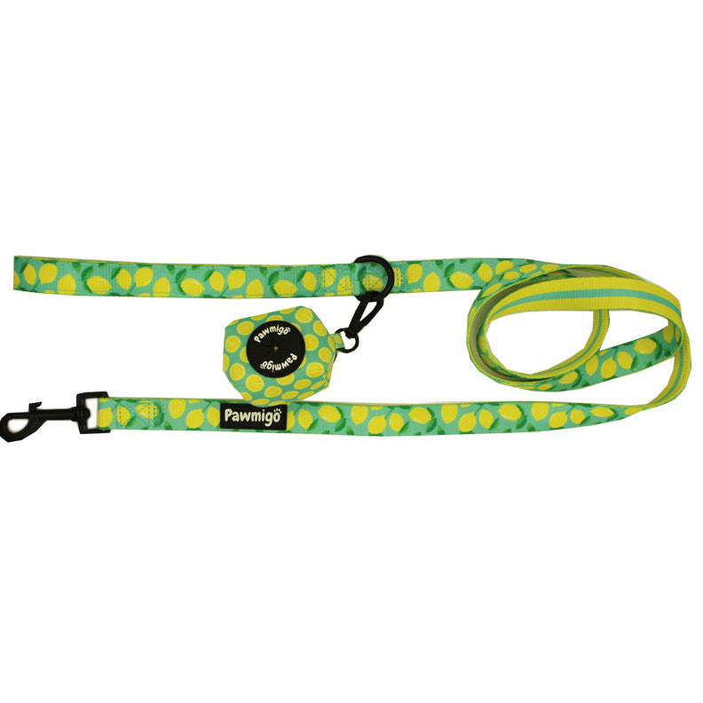 Green and yellow patterned dog leash with a clip on a white background