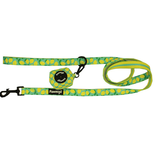 Green and yellow patterned dog leash with a clip on a white background