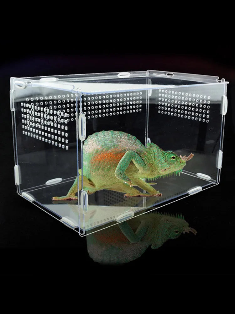 Transparent Acrylic Reptile Breeding Box – Vivarium for Small Reptiles and Insects - Premium breeding box from Lizard Vigilante - Just $19.99! Shop now at Lizard Vigilante