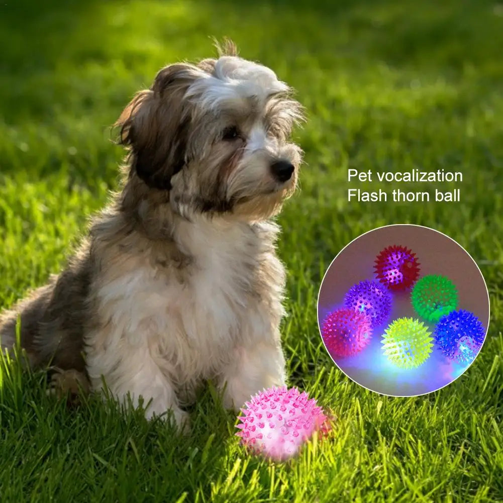 Dog Squeaky Toys Colorful Soft Rubber Luminous Pet Puppy Dog Chewing Playing Elastic Hedgehog Ball Toy Small Pet Supplies - Premium  from Lizard Vigilante - Just $15.99! Shop now at Lizard Vigilante