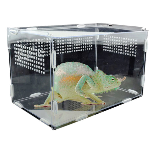 Transparent Acrylic Reptile Breeding Box – Vivarium for Small Reptiles and Insects - Premium breeding box from Lizard Vigilante - Just $19.99! Shop now at Lizard Vigilante