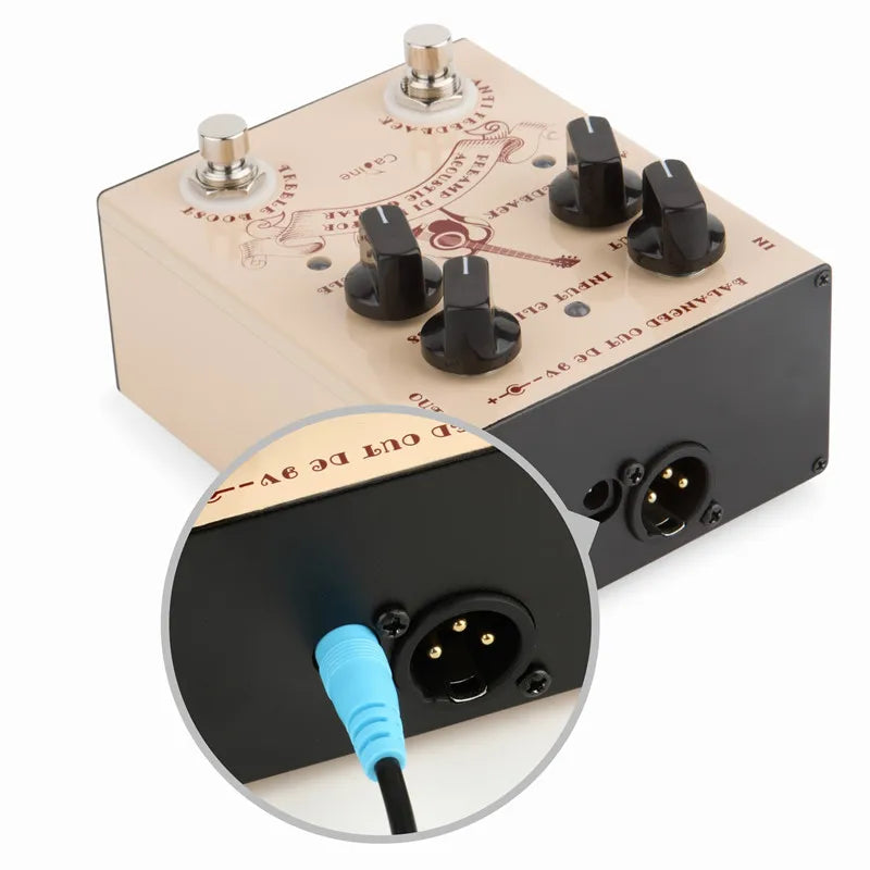Caline CP-40 Acoustic Preamp & Cabinet Sim – Riot Control for Wooden Tone