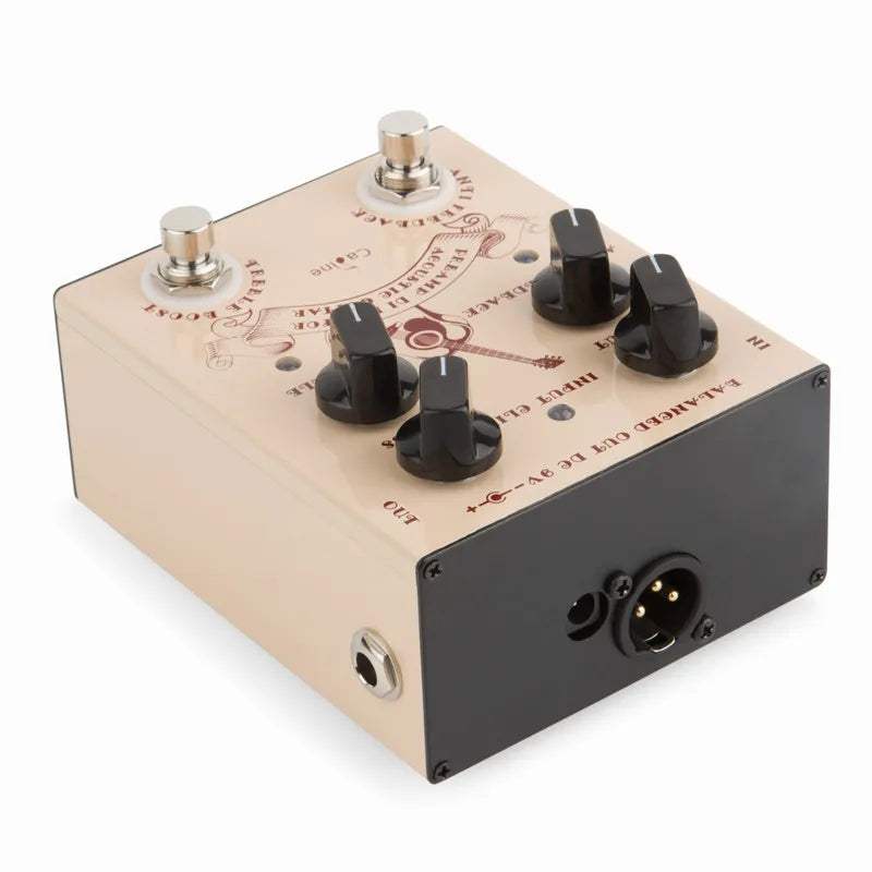 Caline CP-40 Acoustic Preamp & Cabinet Sim – Riot Control for Wooden Tone