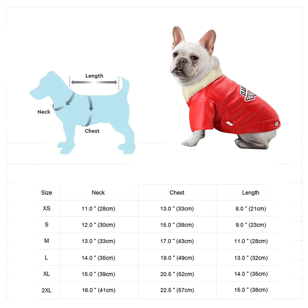 Cool Dog Leather Jacket Coat Warm Winter Pet Clothing Outfit French Bulldog Clothes Coats for Small Medium Dogs - Lizard Vigilante