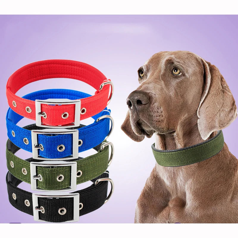 Durable Solid Nylon Dog Collar for Small, Medium, and Large Dogs – Breakaway Design - Premium dog collar from Lizard Vigilante - Just $12.99! Shop now at Lizard Vigilante