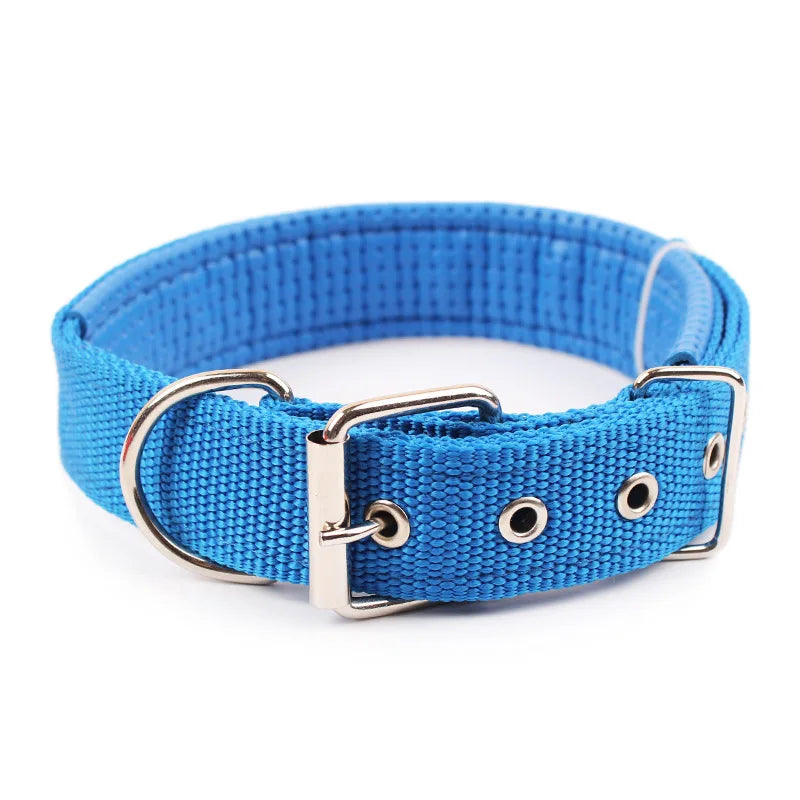 Durable Solid Nylon Dog Collar for Small, Medium, and Large Dogs – Breakaway Design - Premium dog collar from Lizard Vigilante - Just $12.99! Shop now at Lizard Vigilante