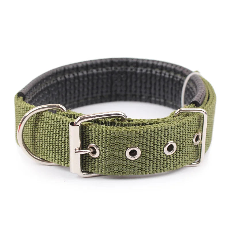 Durable Solid Nylon Dog Collar for Small, Medium, and Large Dogs – Breakaway Design - Premium dog collar from Lizard Vigilante - Just $12.99! Shop now at Lizard Vigilante