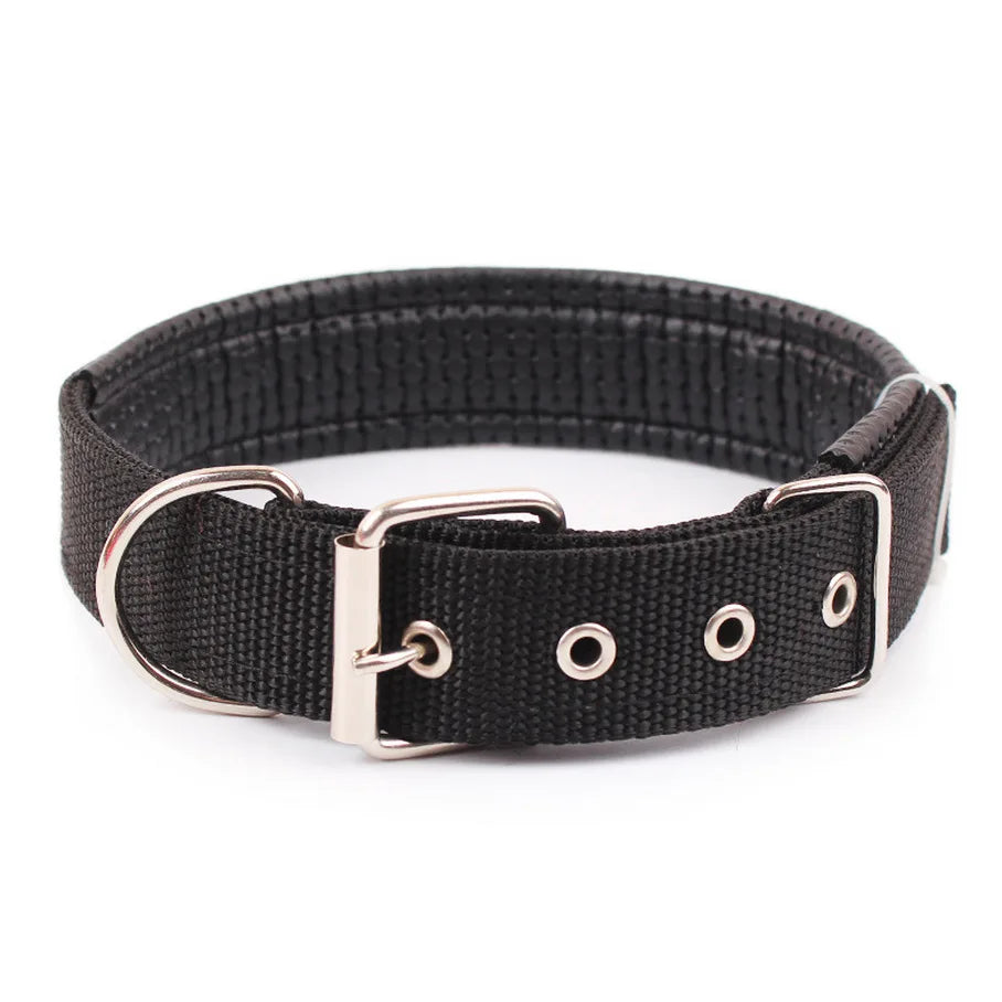 Durable Solid Nylon Dog Collar for Small, Medium, and Large Dogs – Breakaway Design - Premium dog collar from Lizard Vigilante - Just $12.99! Shop now at Lizard Vigilante