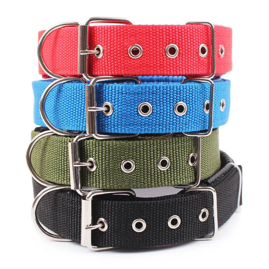 Durable Solid Nylon Dog Collar for Small, Medium, and Large Dogs – Breakaway Design - Premium dog collar from Lizard Vigilante - Just $12.99! Shop now at Lizard Vigilante