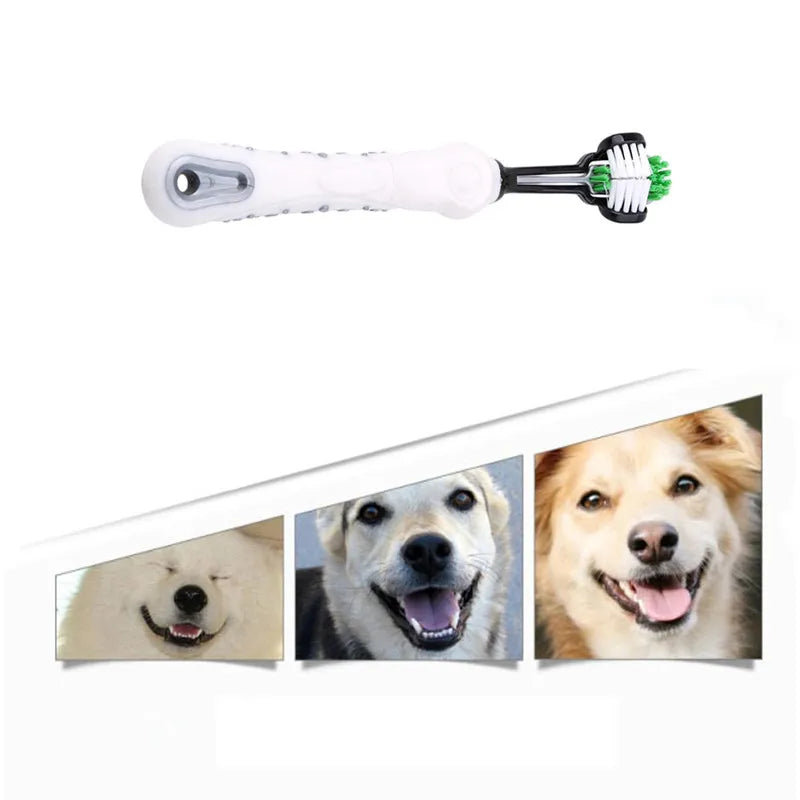 Three-Sided Pet Toothbrush for Dogs and Cats – Tartar Removal & Bad Breath Care - Premium toothbrush from Lizard Vigilante - Just $12.99! Shop now at Lizard Vigilante