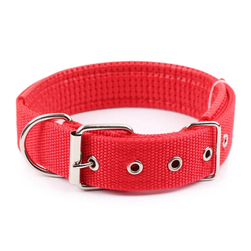 Durable Solid Nylon Dog Collar for Small, Medium, and Large Dogs – Breakaway Design - Premium dog collar from Lizard Vigilante - Just $12.99! Shop now at Lizard Vigilante