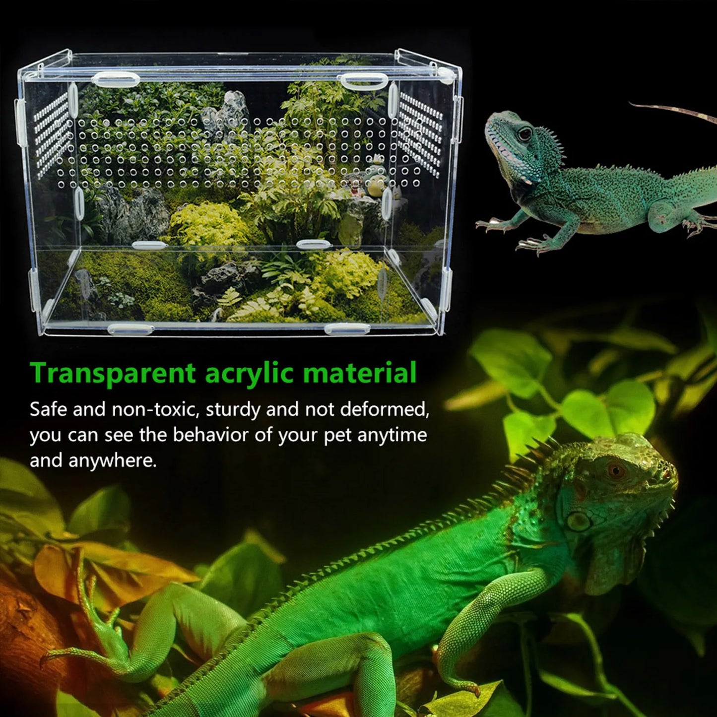 Transparent Acrylic Reptile Breeding Box – Vivarium for Small Reptiles and Insects - Premium breeding box from Lizard Vigilante - Just $19.99! Shop now at Lizard Vigilante