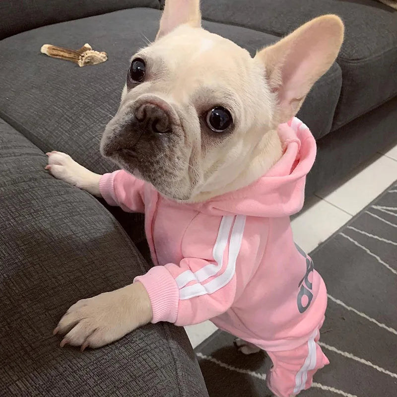 Tracksuit for Dogs Spring Autumn Dog Clothes Sport Sweatshirt Jumpsuit for Small Dogs French Bulldog Yorkie Chihuahua Hoodies - Lizard Vigilante