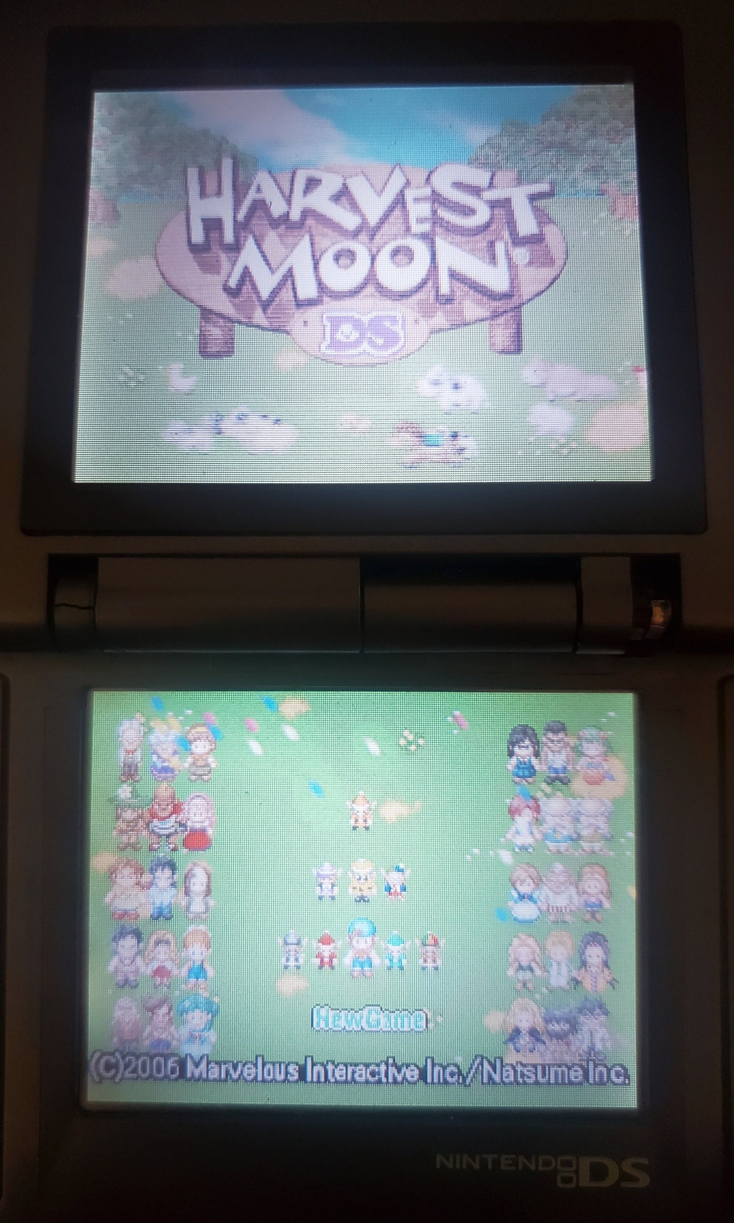 Harvest Moon DS Video Game Nintendo DS