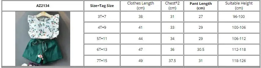 Bear Leader New Summer Casual Children Sets Chiffon Flowers Blue T-shirt Pants Girls Clothing Sets Kids Summer Set for 3-7 Years