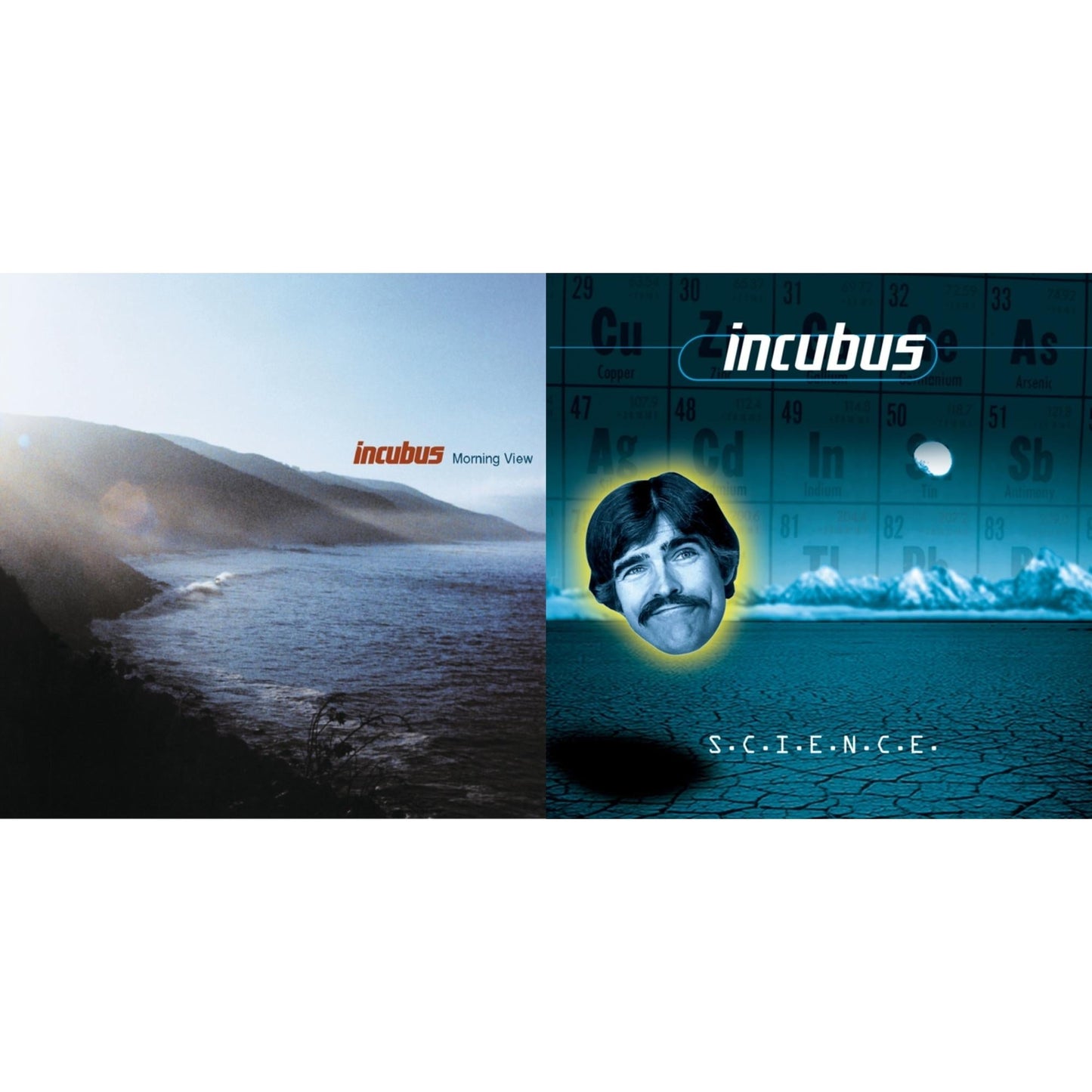 S.C.I.E.N.C.E. & Morning View