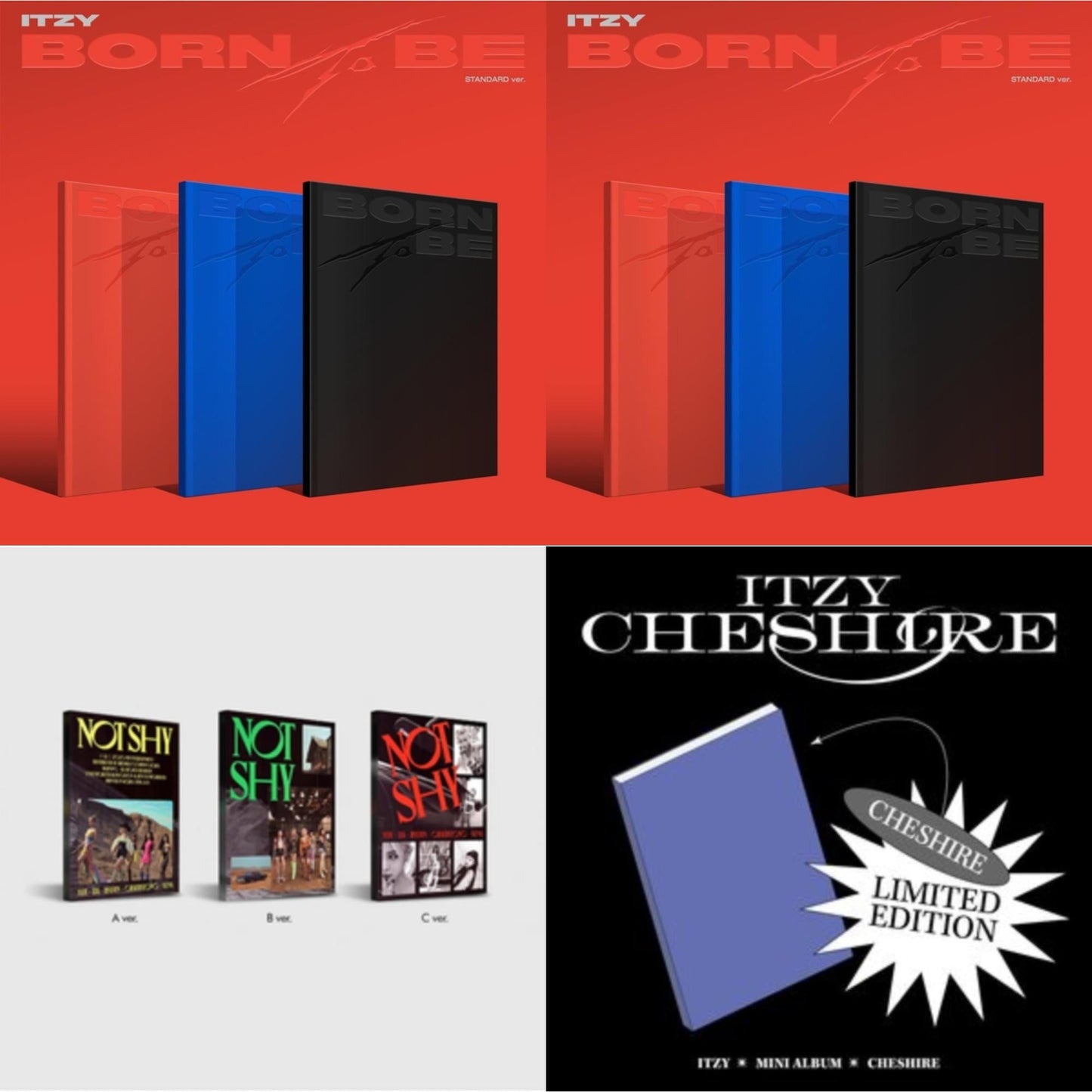 Born To Be (Version A) & Born To Be (Version B) & Not Shy & Cheshire (Limited Edition)
