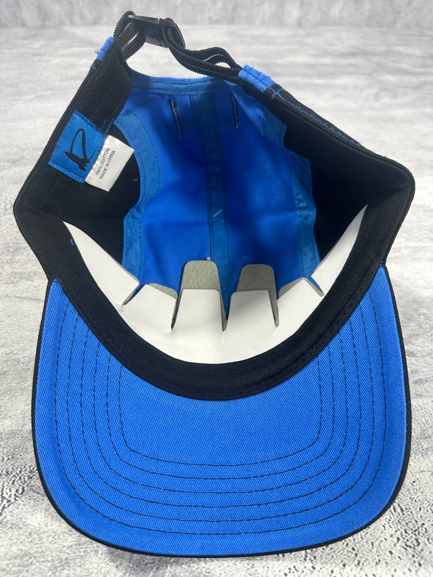 Dog Town Blue Skater Hat