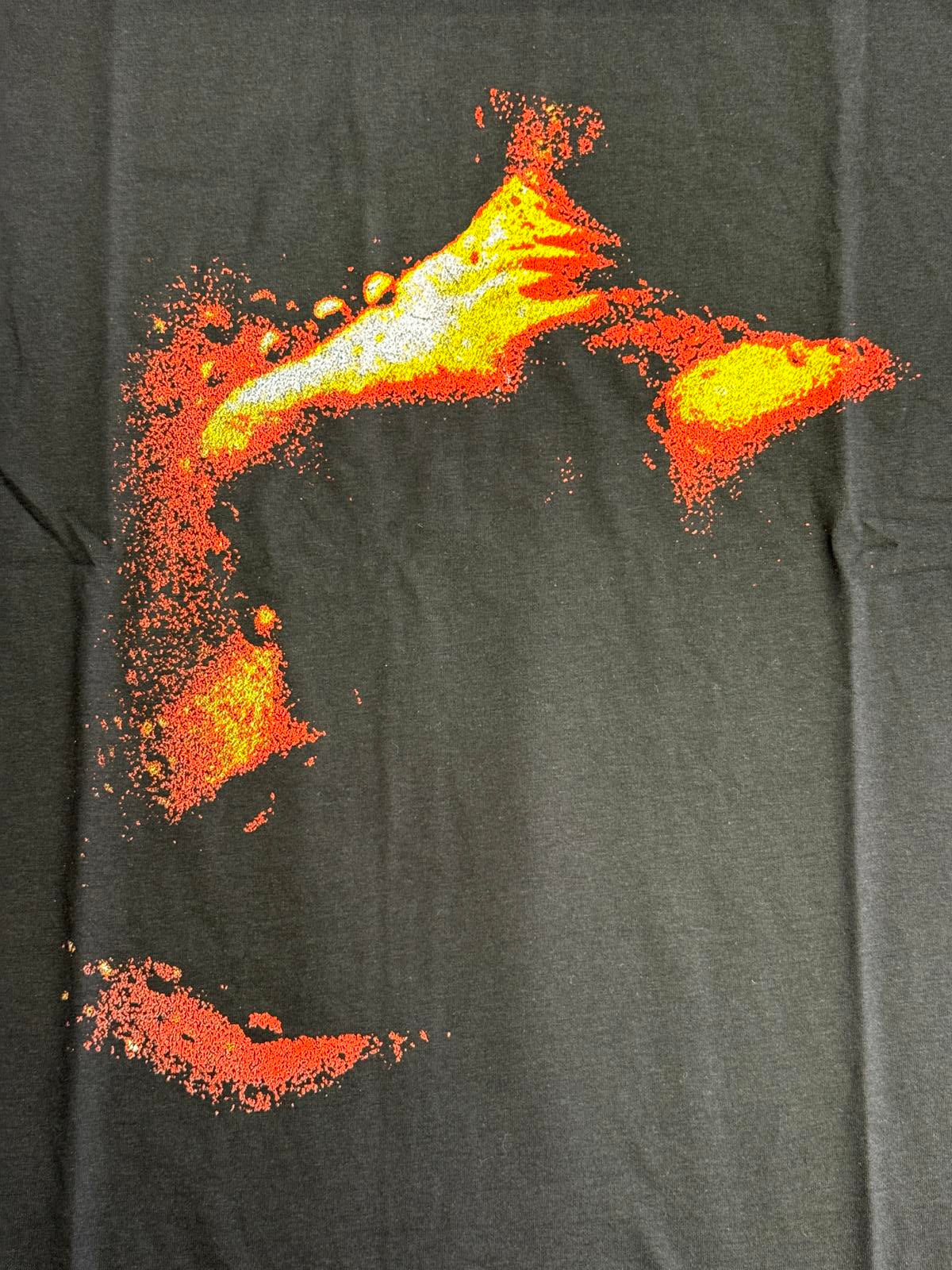 Paramore T-shirt This is Why Album Tee 2 Sided