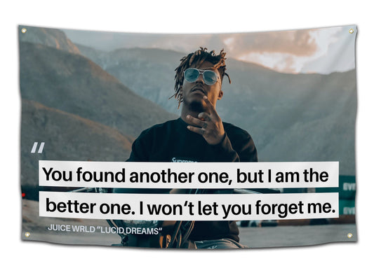 I Won't Let You Forget Me