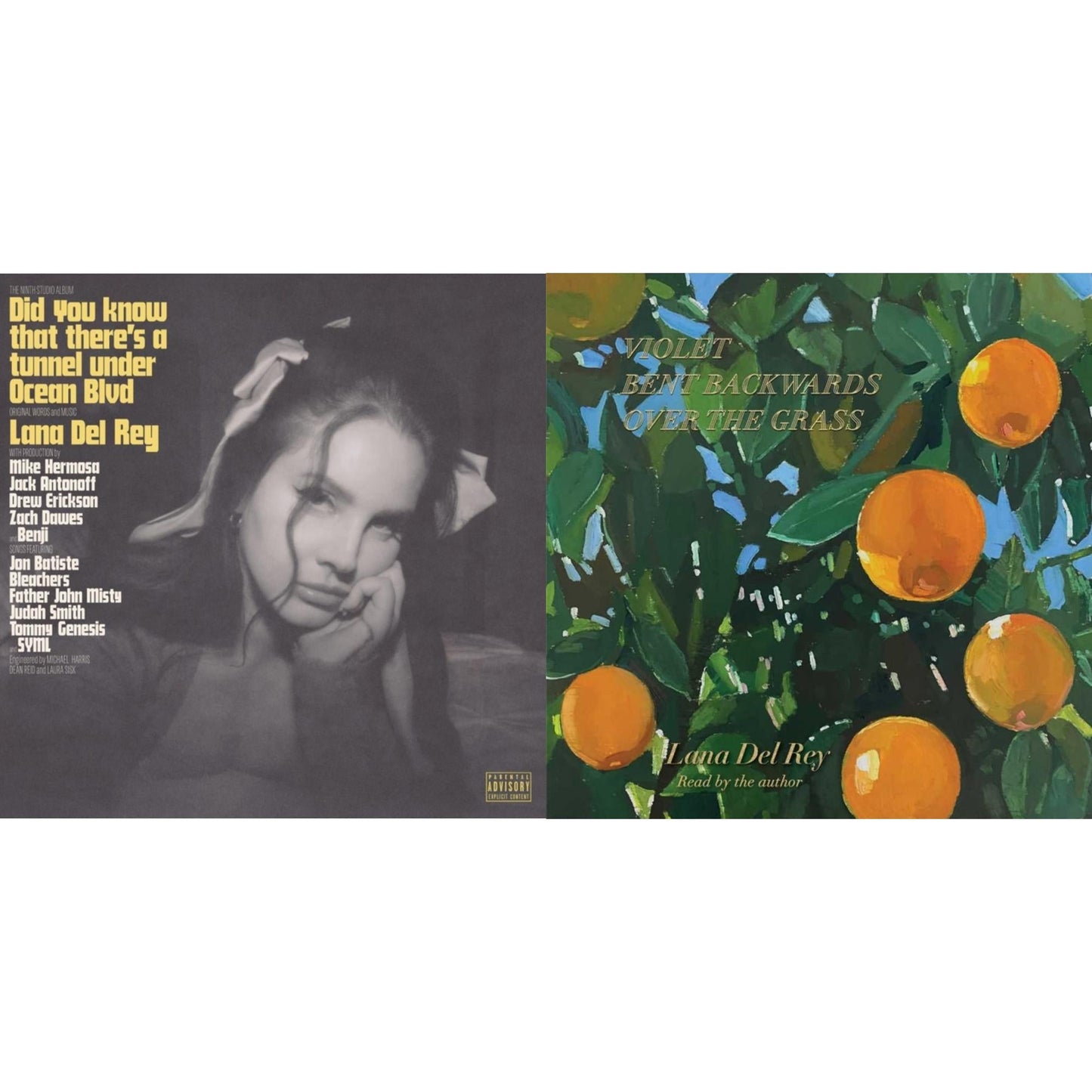 Did You Know That There’S A Tunnel Under Ocean Blvd (X) (2LP/180G) & Violet Bent Backwards Over The Grass (180G)