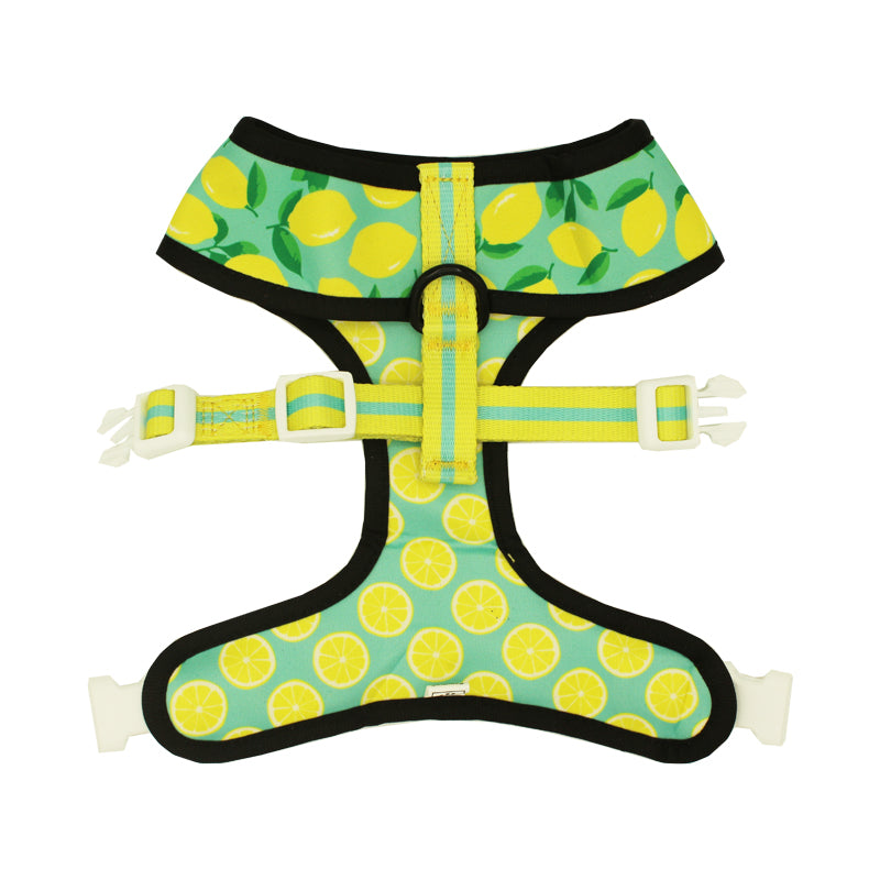 Worth The Squeeze Reversible Harness: Citrus Rampage Tour Edition