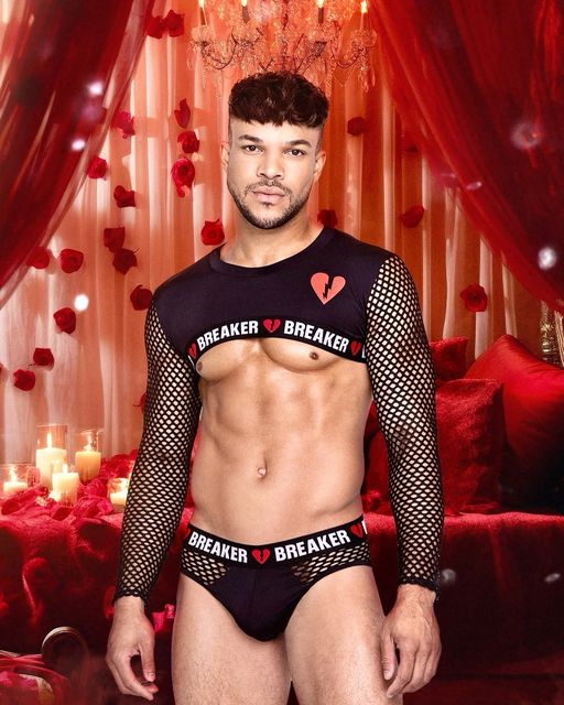 Heartbreaker Crop Top