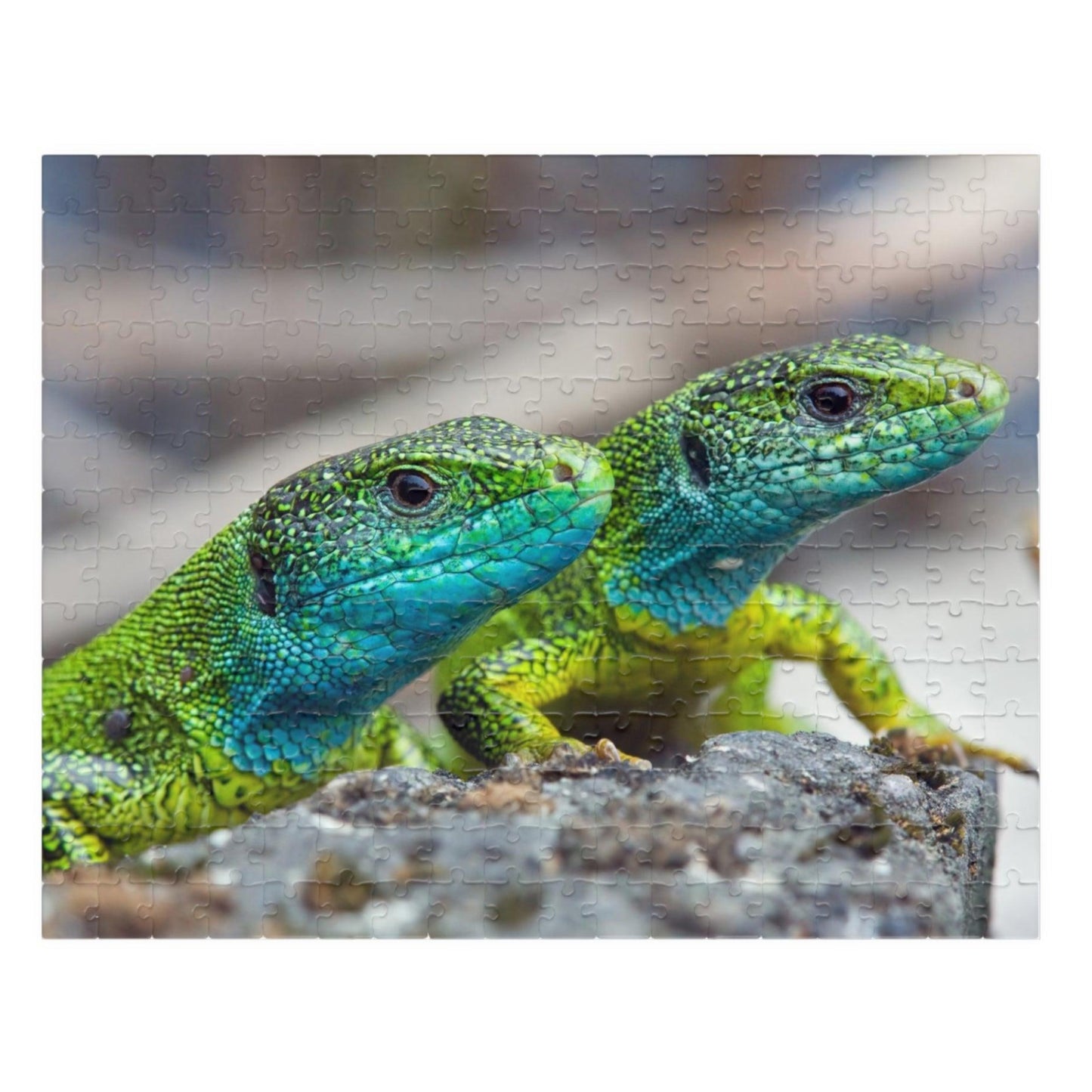 Lizard Buds Puzzle (110, 252, 520, 1014-piece) - Lizard Vigilante