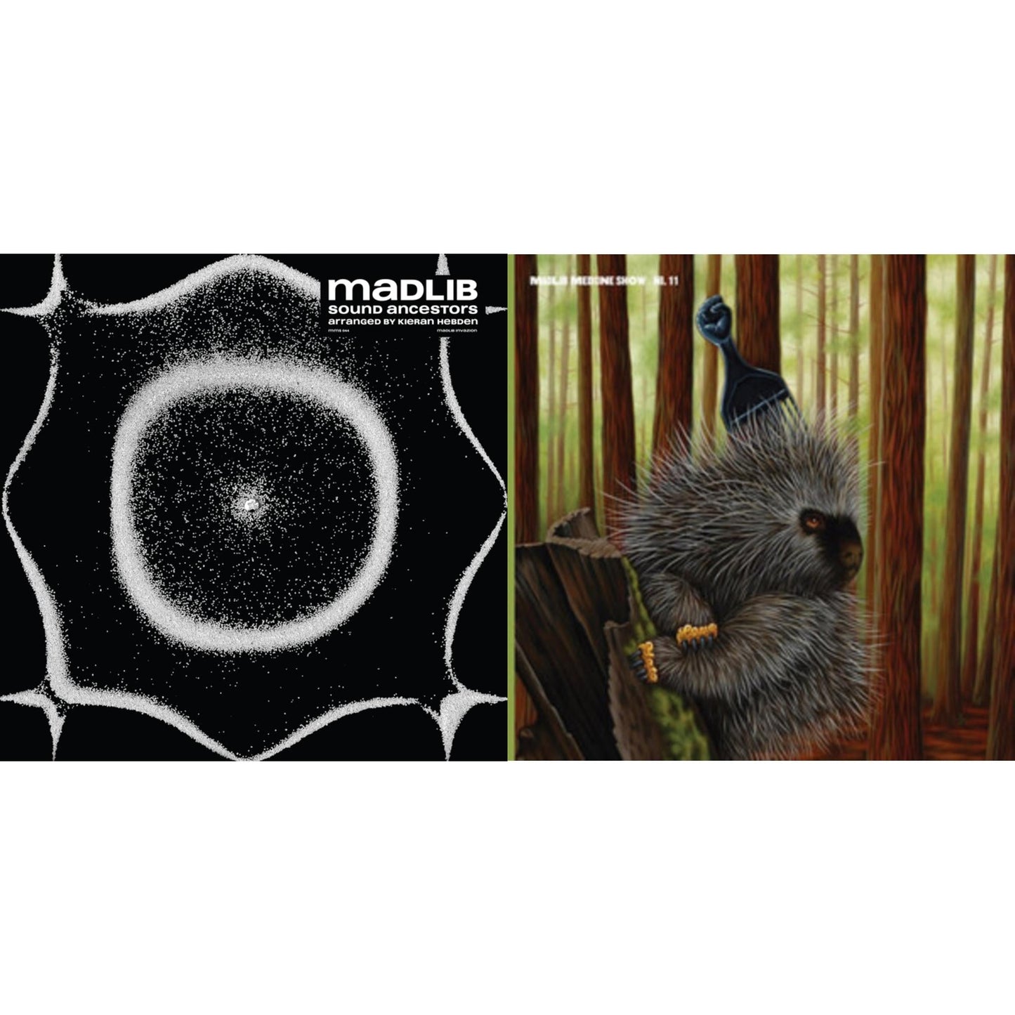 Sound Ancestors (Arranged By Kieran Hebden) & Low Budget High Fi Music (Color LP Vinyl)