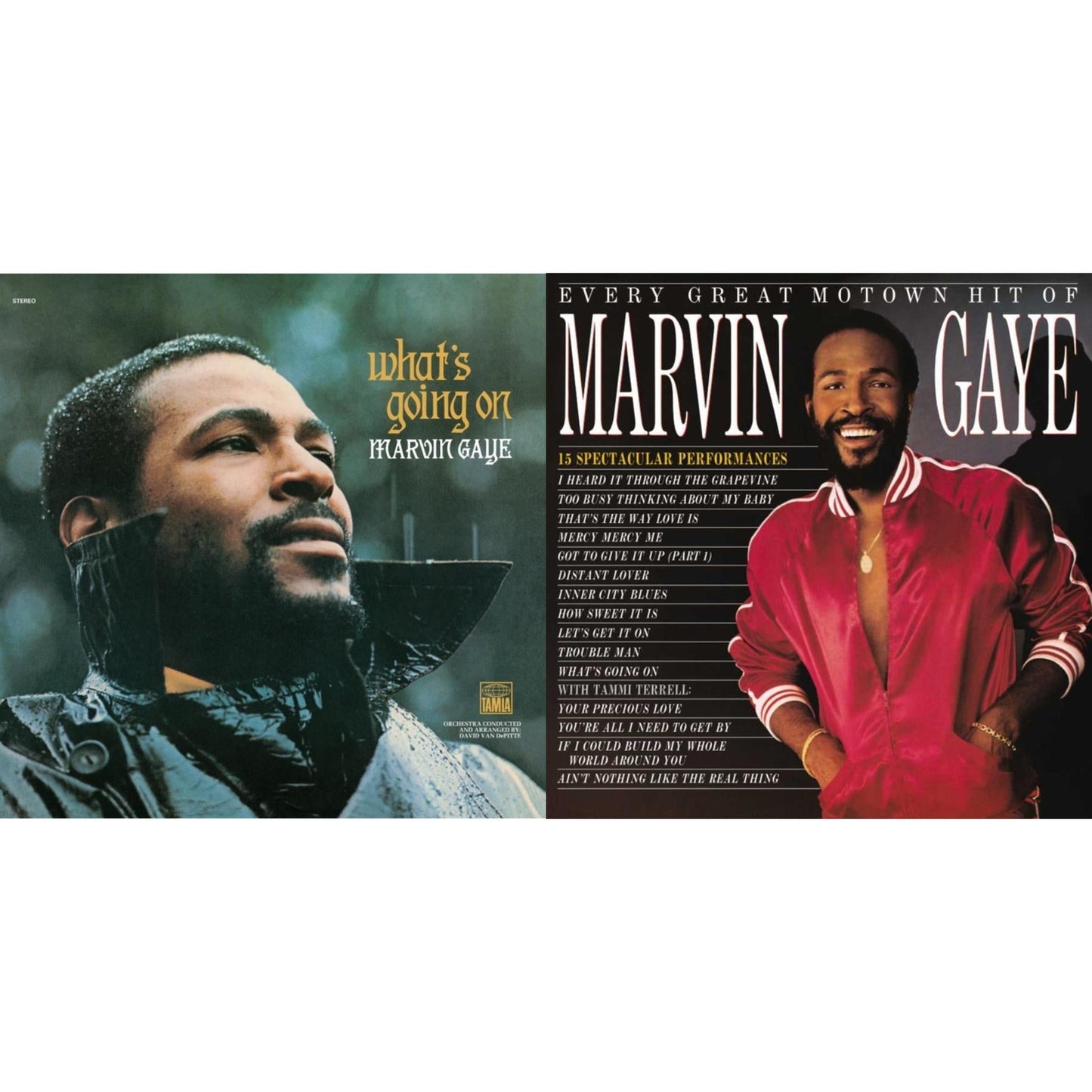 What's Going On (50Th Anniversary/2LP) & Every Great Motown Hit Of Marvin Gaye: 15 Spectacular Performances
