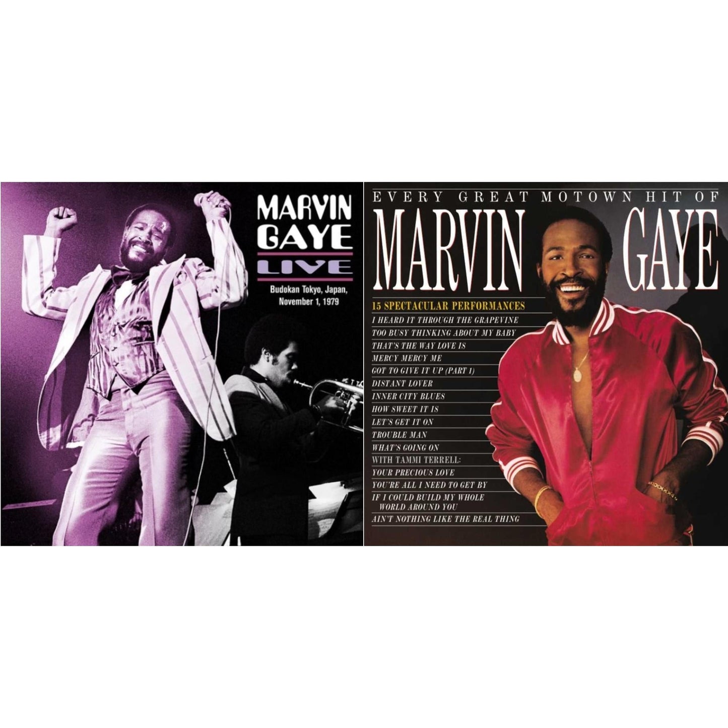 Every Great Motown Hit Of Marvin Gaye: 15 Spectacular Performances & Live: Budokan Tokyo, Japan, November 1, 1979 (2LP)