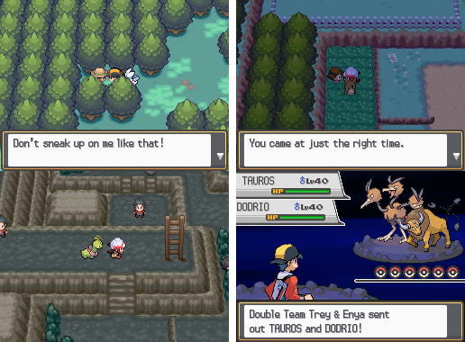 Pokemon Pure Heart Nintendo DS Custom ROM Hack Video Game Cartridge