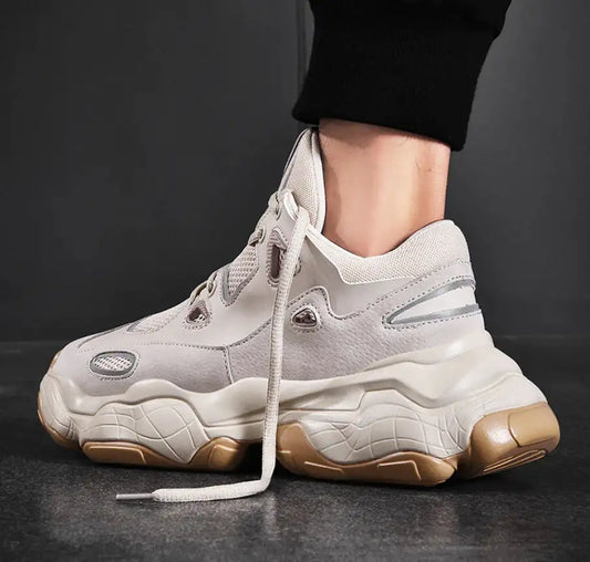 Dad Shoes, Mesh Sports Shoes, Height Increasing Sneakers
