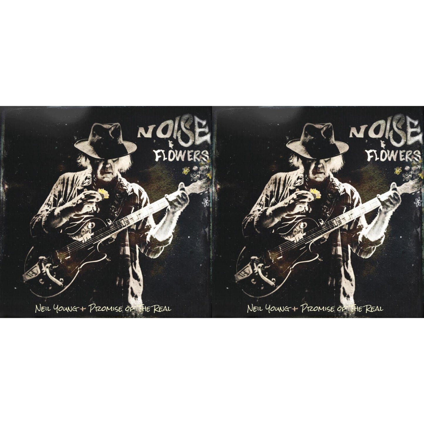Noise & Flowers  (2LP/CD/Blu-Ray) & Noise & Flowers  (2LP)