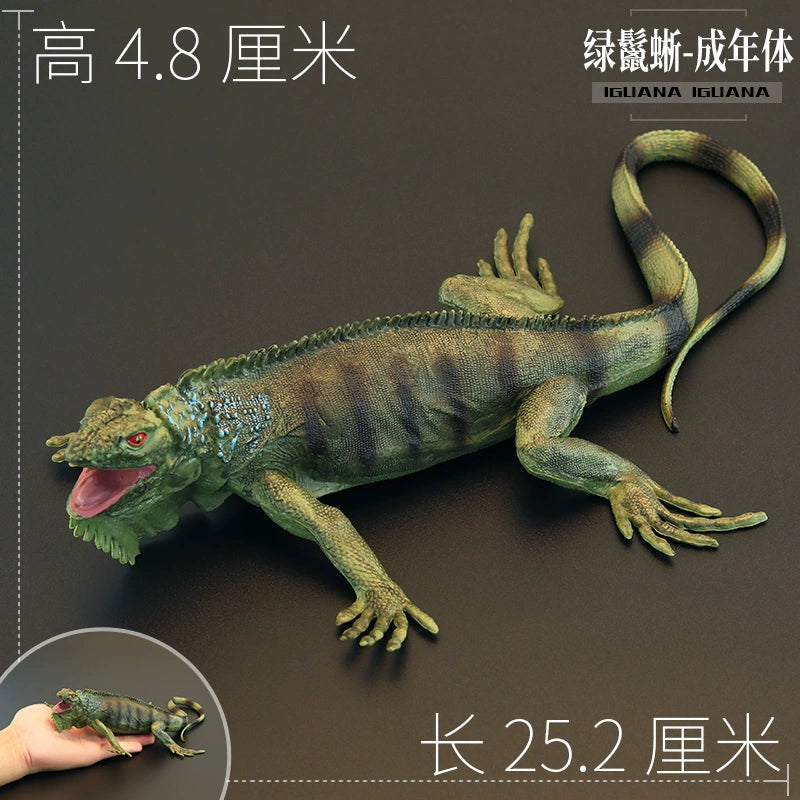 Chameleon Figure: A Realistic and Educational Toy - Premium toy from Lizard Vigilante - Just $10.88! Shop now at Lizard Vigilante