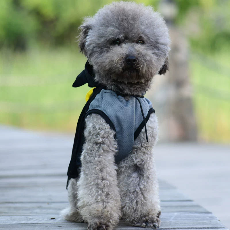 Breathable Summer Teddy Vest - Mickey Panda Pet Costume for Dogs - Premium pet costume from Lizard Vigilante - Just $19.99! Shop now at Lizard Vigilante