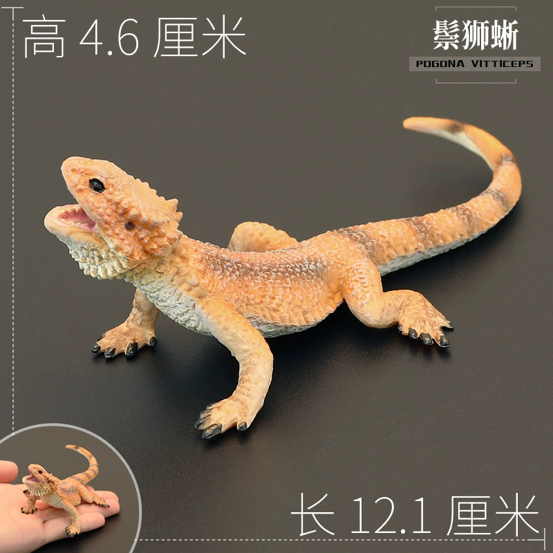 Chameleon Figure: A Realistic and Educational Toy - Premium toy from Lizard Vigilante - Just $10.88! Shop now at Lizard Vigilante