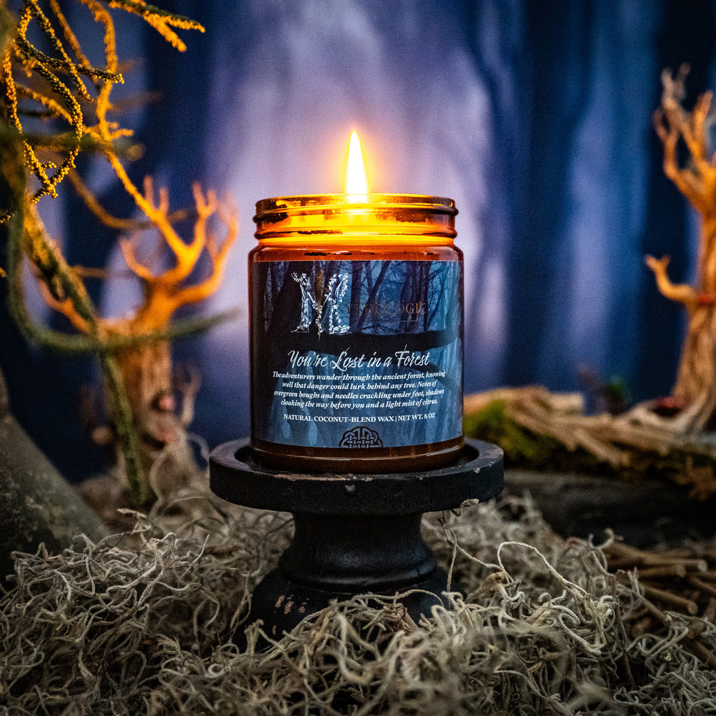 You're Lost in a Forest