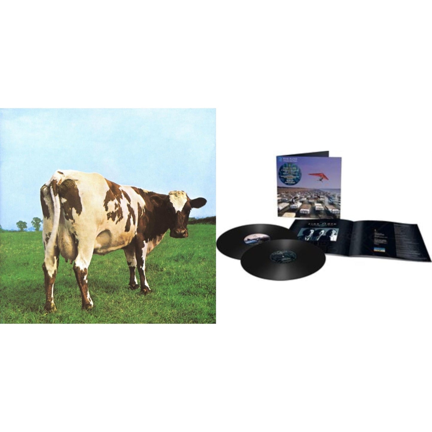 Pink Floyd - Momentary Lapse Of Reason (Remixed & Updated) (2LP) & Atom Heart Mother (180G/Gatefold/2016 Version)
