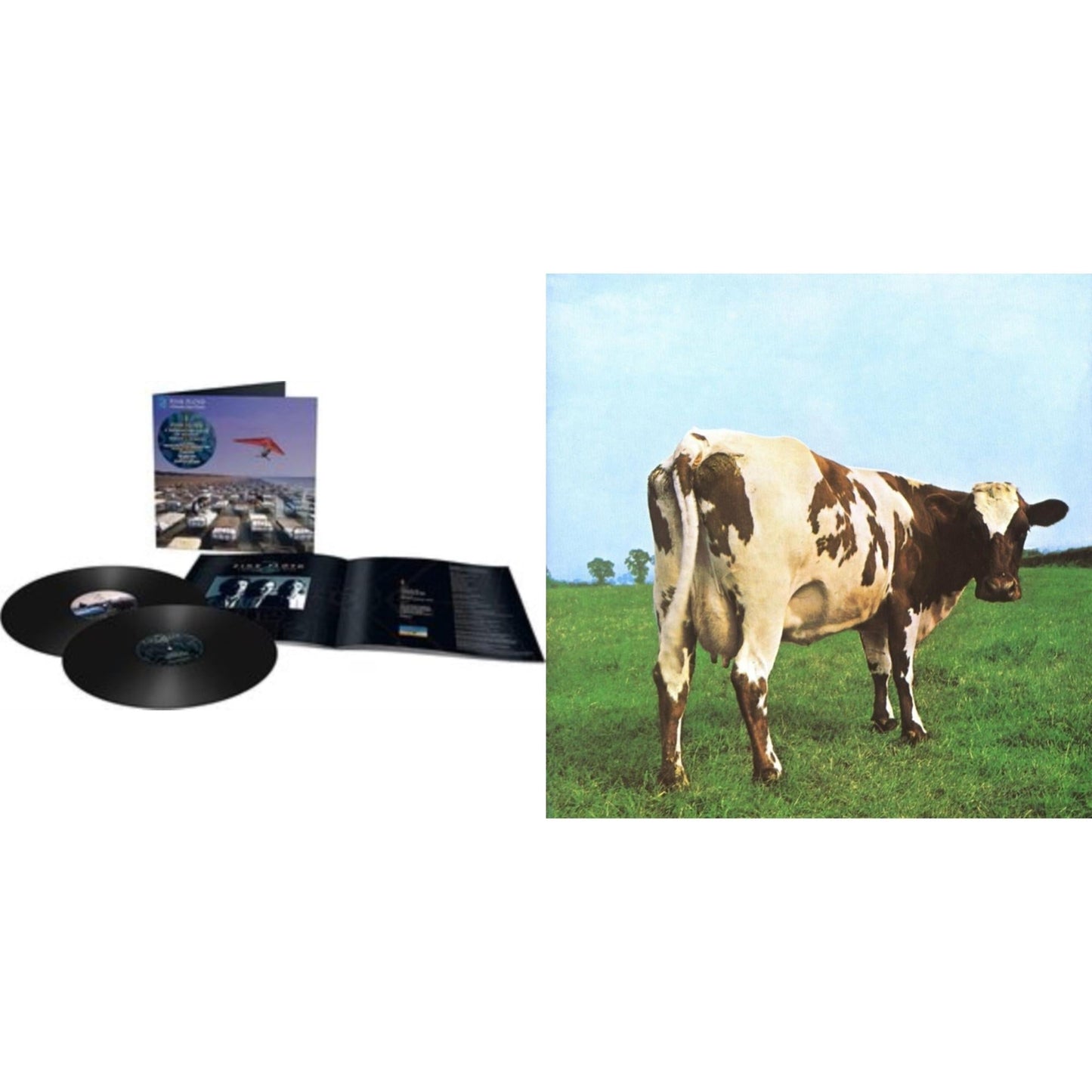 Momentary Lapse Of Reason (Remixed & Updated) (2LP) & Atom Heart Mother (180G/Gatefold/2016 Version)
