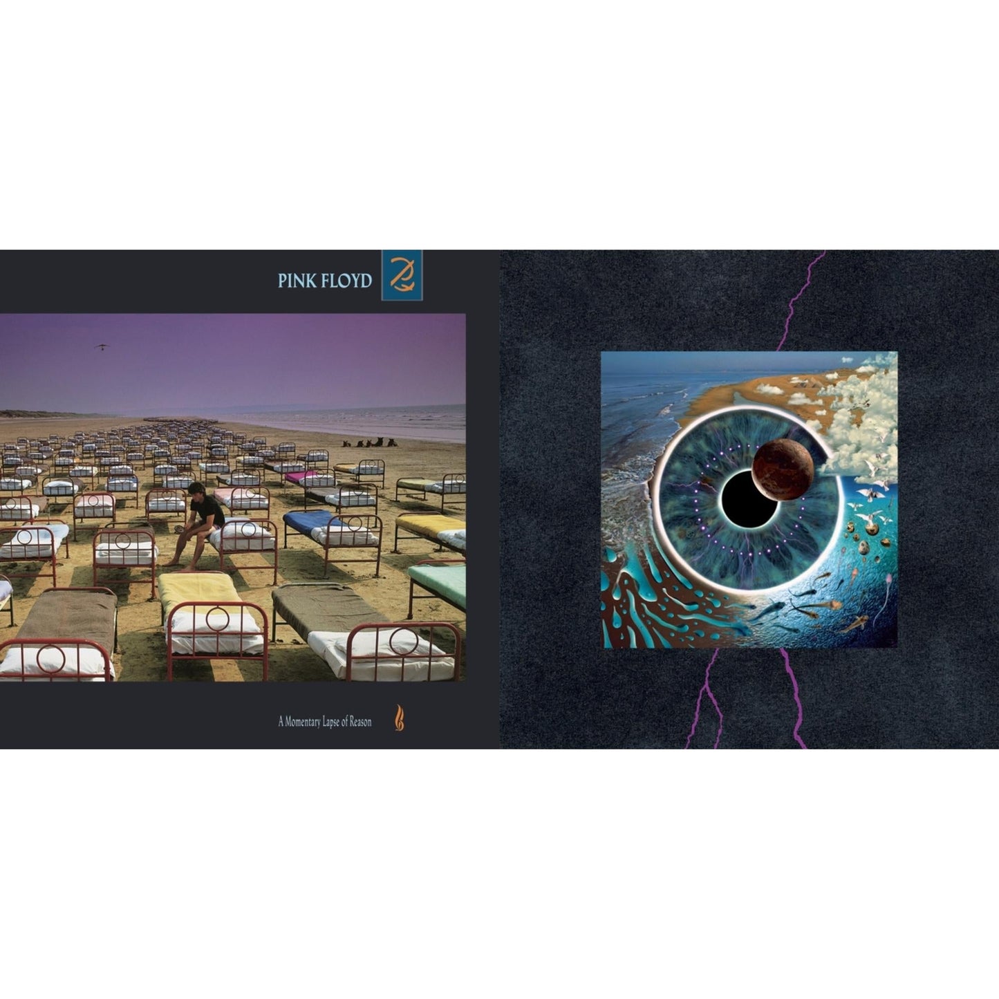 Momentary Lapse Of Reason (180G/Gatefold) (2016 Version) & Pulse (180G/4LP/52 Pp Book)
