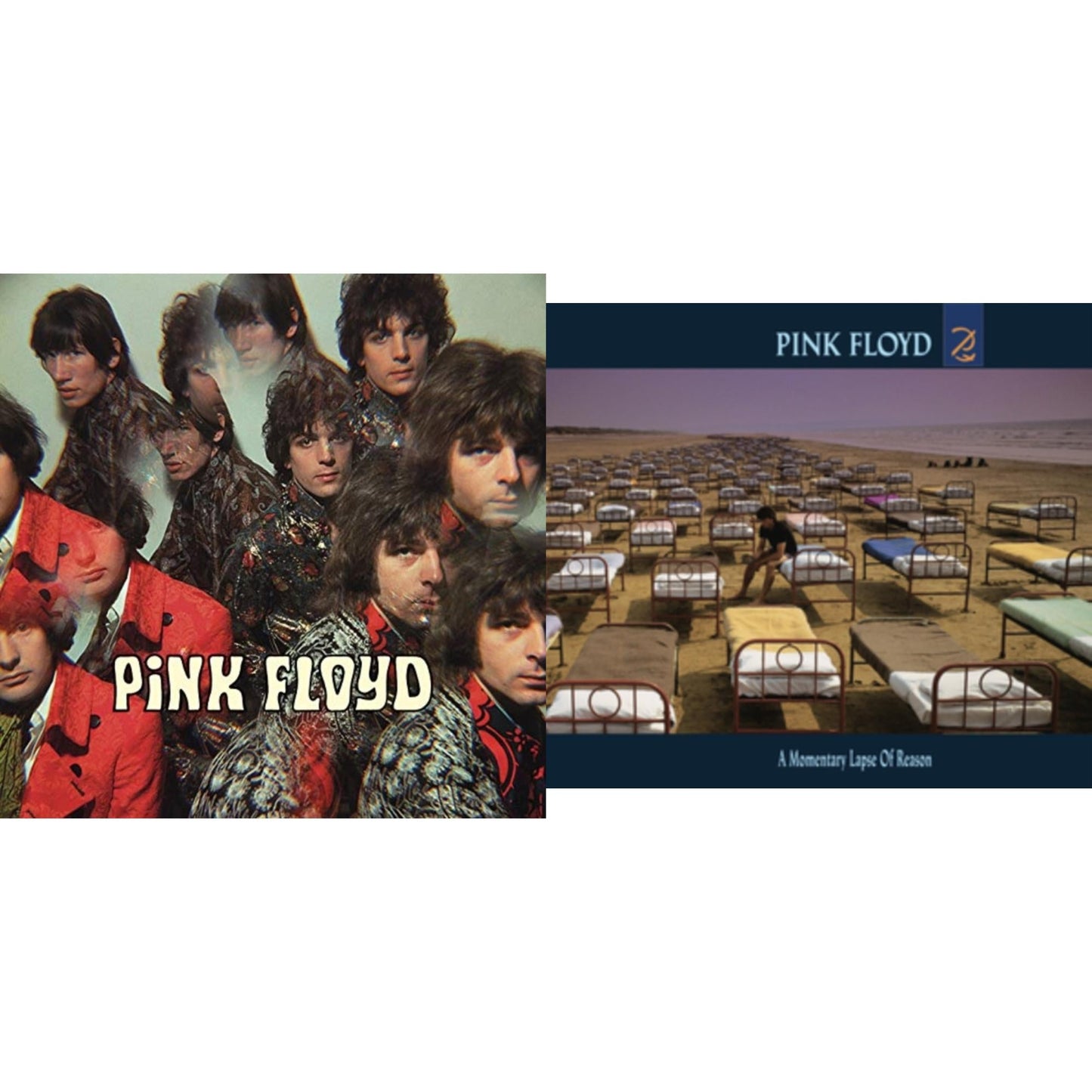 Piper At The Gates Of Dawn (180G/2016 Version) & Momentary Lapse Of Reason (180G/Gatefold) (2016 Version)