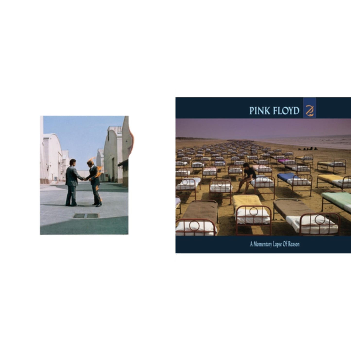 Wish You Were Here (180G) & Momentary Lapse Of Reason (180G/Gatefold) (2016 Version)