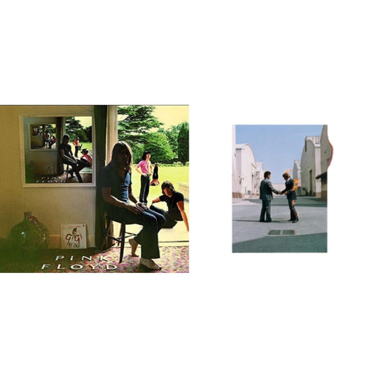Ummagumma & Wish You Were Here